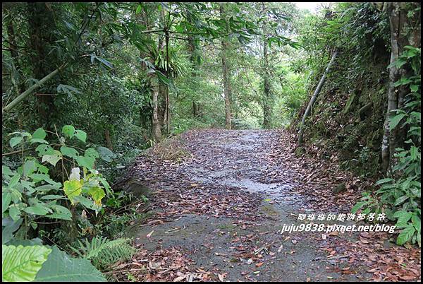 怪獸森林59.JPG 怪獸森林59.JPG