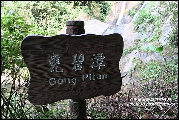 怪獸森林67.JPG 怪獸森林67.JPG