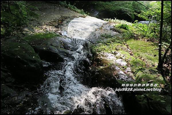 怪獸森林66.JPG 怪獸森林66.JPG