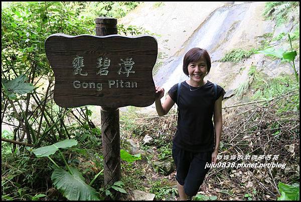 怪獸森林68.JPG 怪獸森林68.JPG