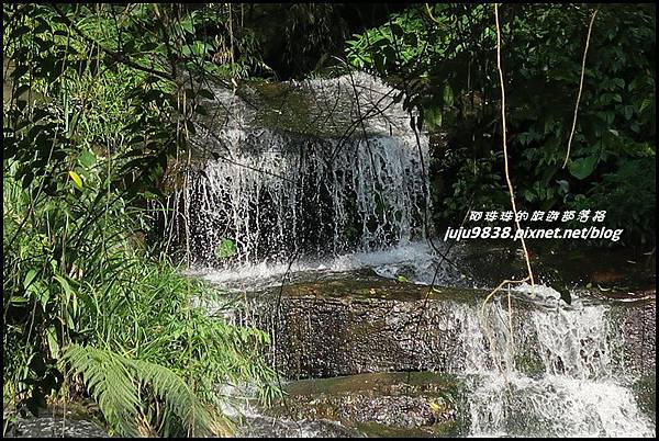 怪獸森林73.JPG 怪獸森林73.JPG