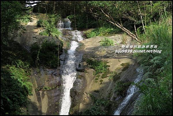 怪獸森林74.JPG 怪獸森林74.JPG