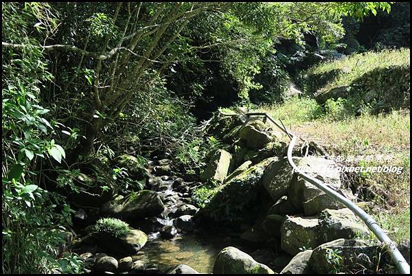 怪獸森林90.JPG 怪獸森林90.JPG