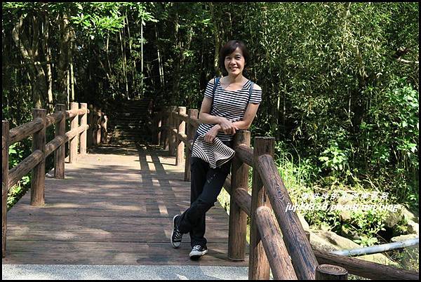 怪獸森林89.JPG 怪獸森林89.JPG