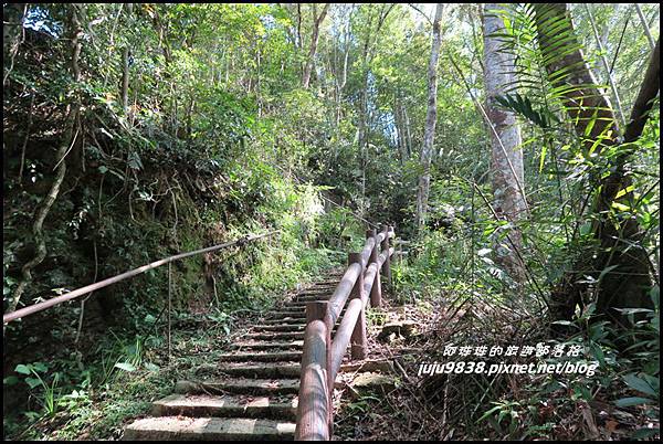 怪獸森林91.JPG 怪獸森林91.JPG