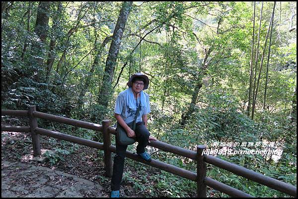 怪獸森林92.JPG 怪獸森林92.JPG