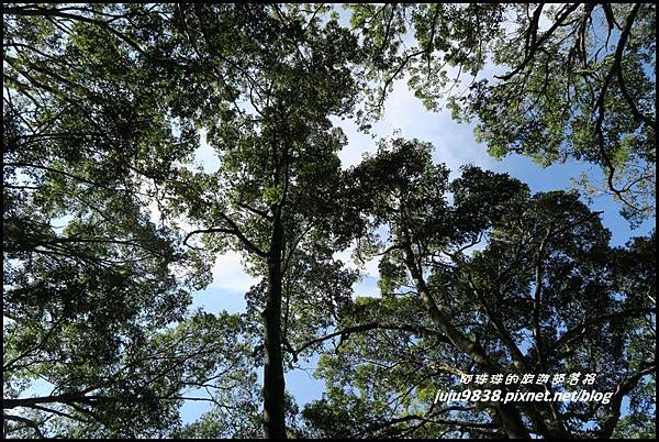 怪獸森林93.JPG 怪獸森林93.JPG