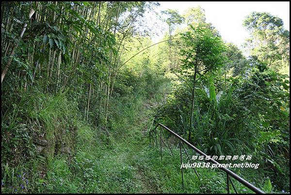 怪獸森林98.JPG 怪獸森林98.JPG