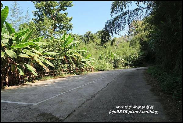 怪獸森林104.JPG 怪獸森林104.JPG