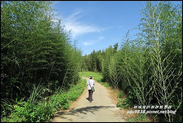 怪獸森林107.JPG 怪獸森林107.JPG