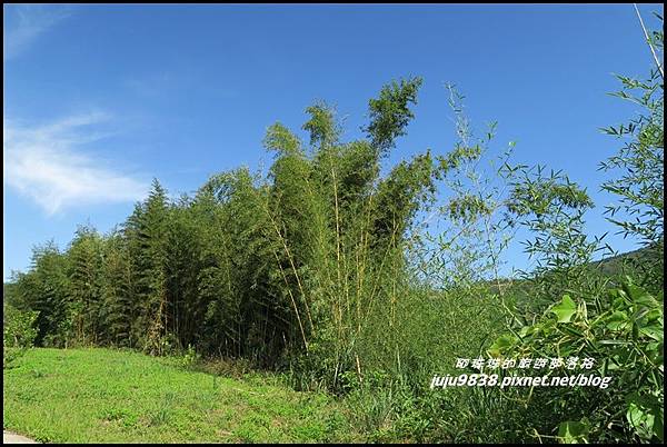 怪獸森林108.JPG 怪獸森林108.JPG