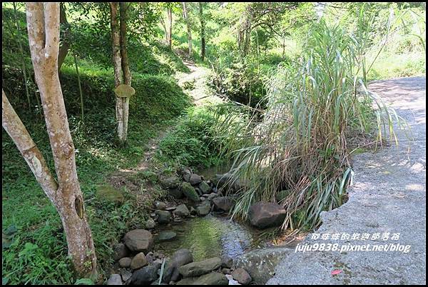 怪獸森林118.JPG 怪獸森林118.JPG