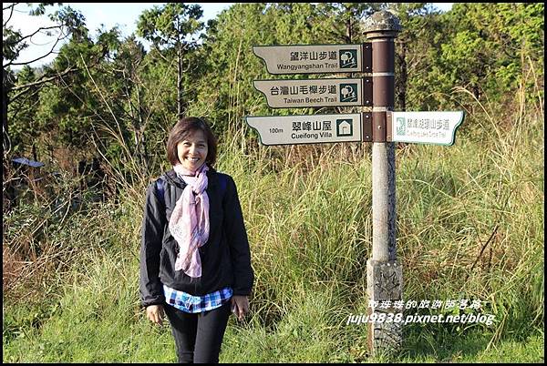 山毛櫸步道1.JPG 山毛櫸步道1.JPG