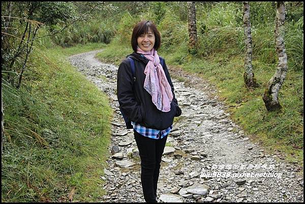 山毛櫸步道3.JPG 山毛櫸步道3.JPG