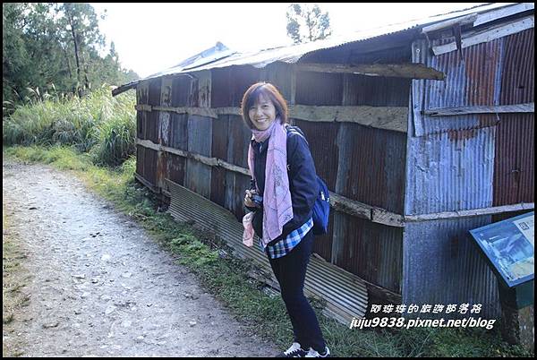 山毛櫸步道6.JPG 山毛櫸步道6.JPG