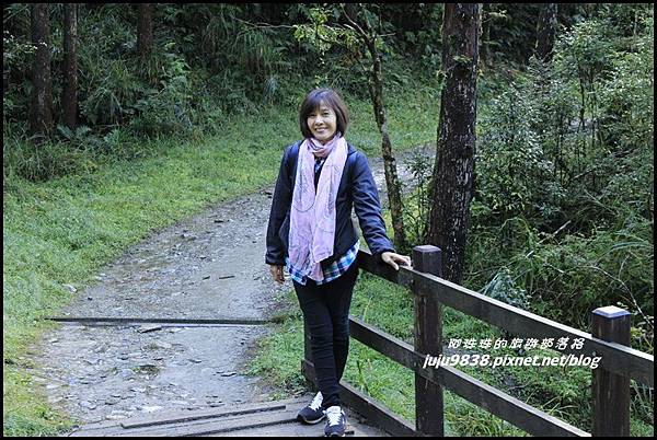 山毛櫸步道5.JPG 山毛櫸步道5.JPG