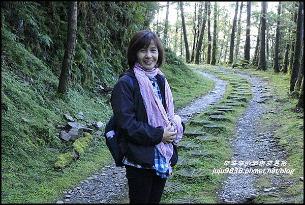 山毛櫸步道10.JPG 山毛櫸步道10.JPG