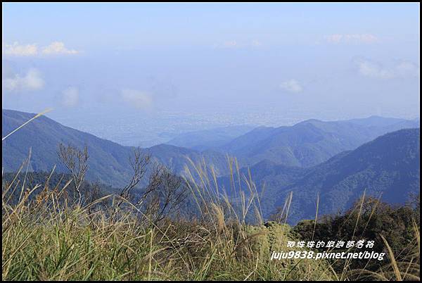 山毛櫸步道13.JPG 山毛櫸步道13.JPG