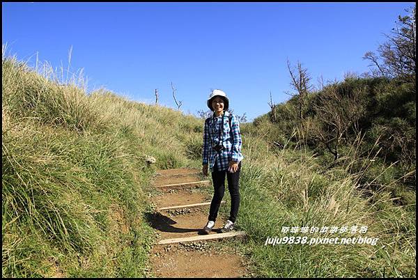 山毛櫸步道17.JPG 山毛櫸步道17.JPG