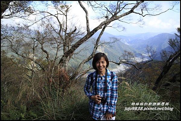 山毛櫸步道23.JPG 山毛櫸步道23.JPG