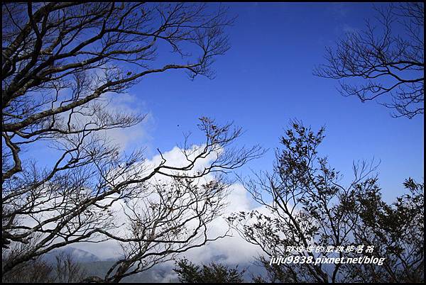 山毛櫸步道25.JPG 山毛櫸步道25.JPG