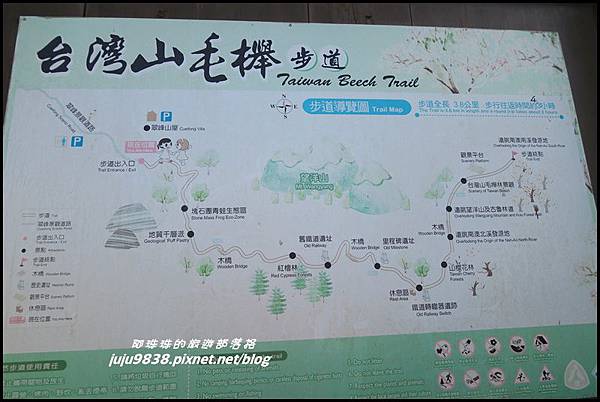 山毛櫸步道38.JPG 山毛櫸步道38.JPG