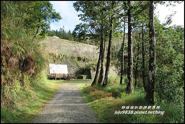 山毛櫸步道40.JPG 山毛櫸步道40.JPG
