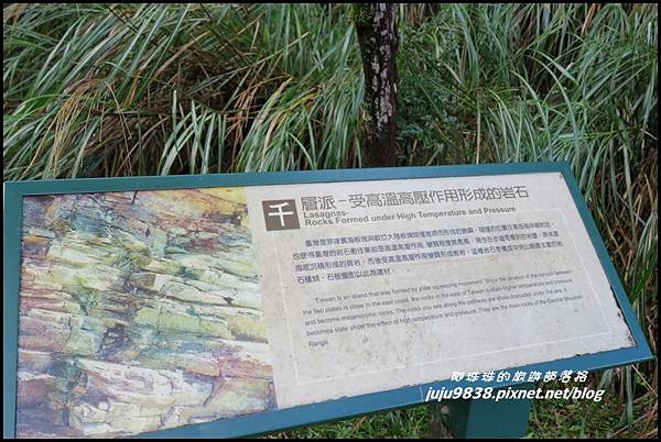 山毛櫸步道42.JPG 山毛櫸步道42.JPG