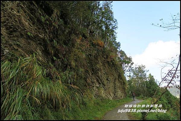 山毛櫸步道43.JPG 山毛櫸步道43.JPG