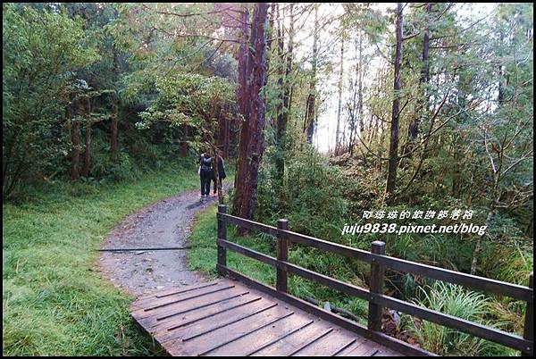 山毛櫸步道51.JPG 山毛櫸步道51.JPG