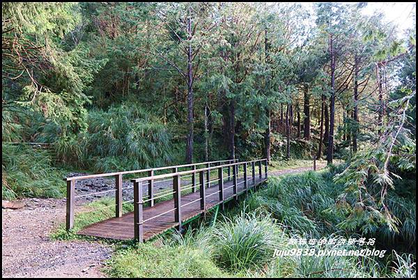 山毛櫸步道52.JPG 山毛櫸步道52.JPG