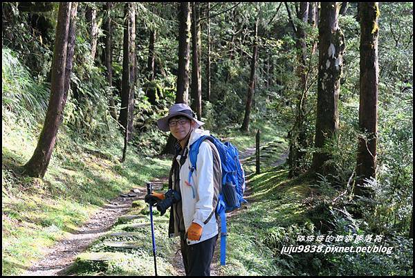 山毛櫸步道54.JPG 山毛櫸步道54.JPG