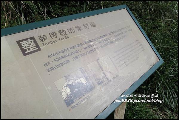 山毛櫸步道60.JPG 山毛櫸步道60.JPG