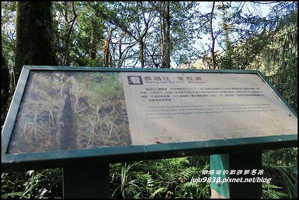 山毛櫸步道64.JPG 山毛櫸步道64.JPG