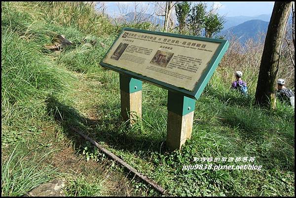 山毛櫸步道66.JPG 山毛櫸步道66.JPG