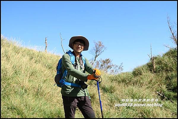 山毛櫸步道71.JPG 山毛櫸步道71.JPG
