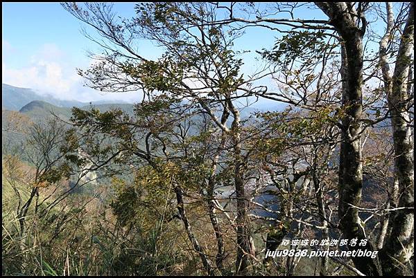 山毛櫸步道78.JPG 山毛櫸步道78.JPG