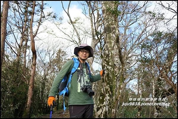 山毛櫸步道84.JPG 山毛櫸步道84.JPG