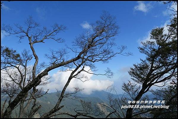 山毛櫸步道85.JPG 山毛櫸步道85.JPG