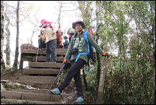山毛櫸步道91.JPG 山毛櫸步道91.JPG