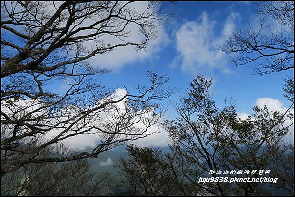 山毛櫸步道92.JPG 山毛櫸步道92.JPG