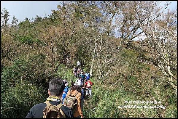 山毛櫸步道99].JPG