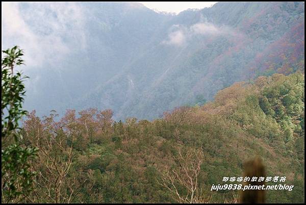 山毛櫸步道101.JPG 山毛櫸步道101.JPG