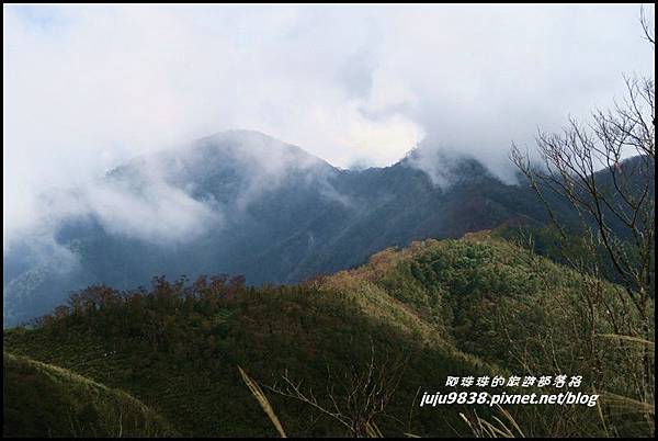 山毛櫸步道102.JPG 山毛櫸步道102.JPG