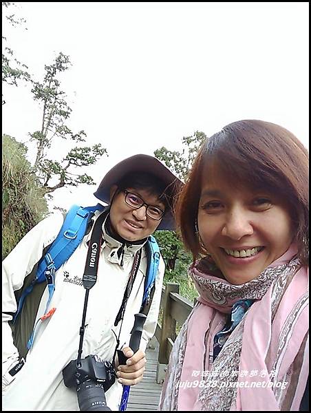 山毛櫸步道134.jpg 山毛櫸步道134.jpg