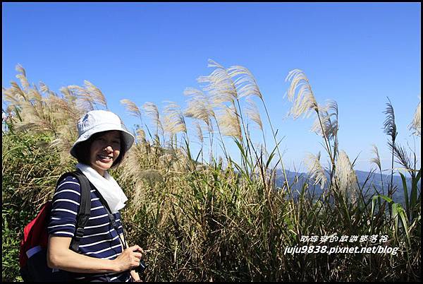 五分山2.JPG 五分山2.JPG