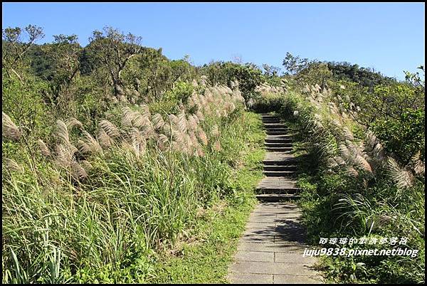 五分山7.JPG 五分山7.JPG