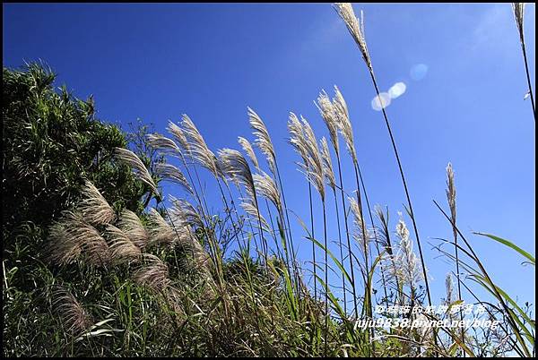 五分山9.JPG 五分山9.JPG
