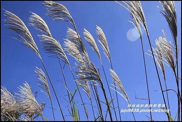 五分山10.JPG 五分山10.JPG