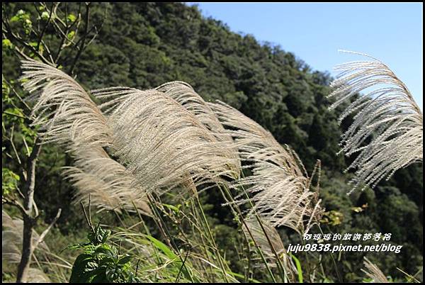 五分山12.JPG 五分山12.JPG